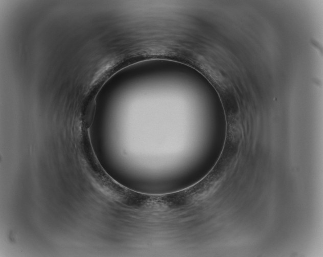 X0000097860207200803141245