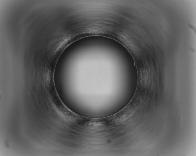 X0000097860208200803141245