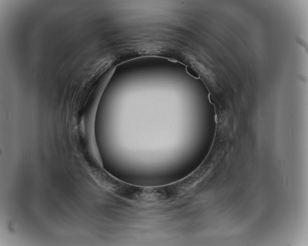 X0000097860209200803141245