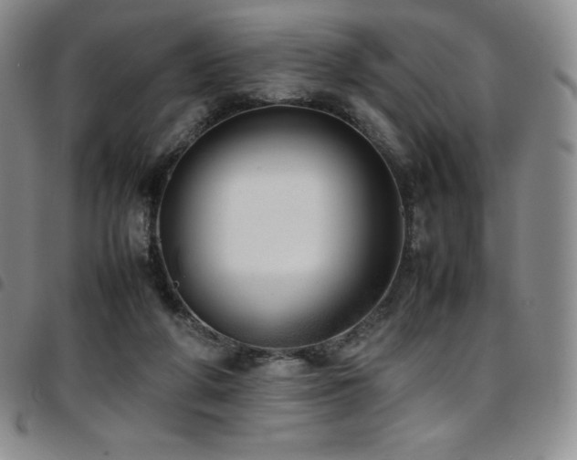 X0000097860210200803141245