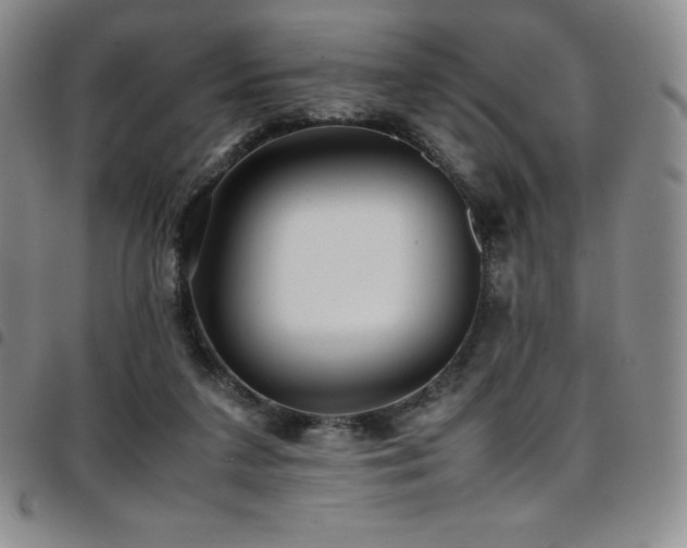 X0000097860211200803141245