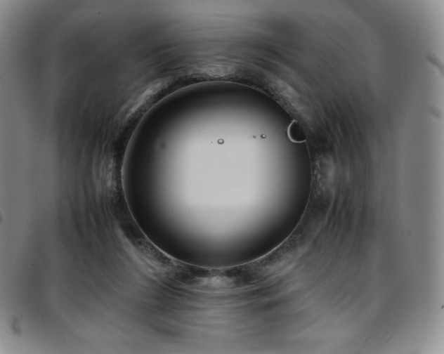 X0000097860212200803141245