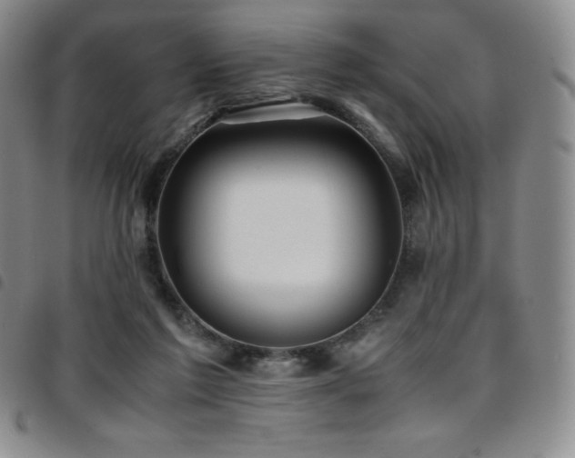 X0000097860213200803141245