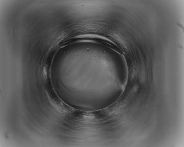 X0000097860214200803141245