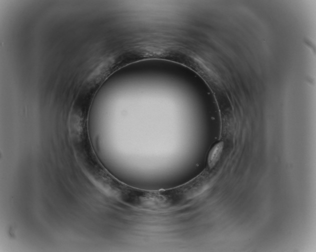 X0000097860215200803141245