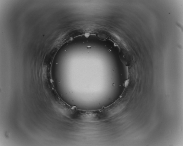 X0000097860217200803141245