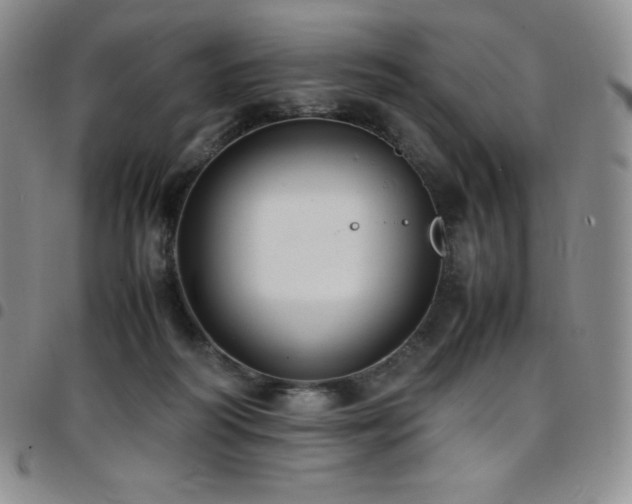 X0000097860218200803141245