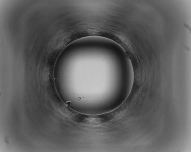 X0000097860221200803141245