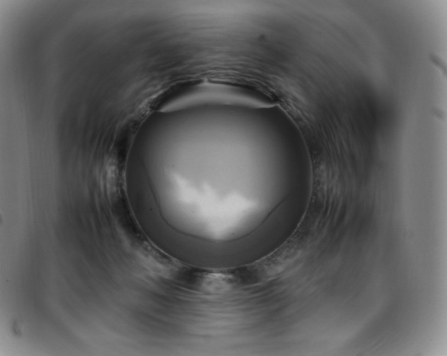 X0000097860222200803141245