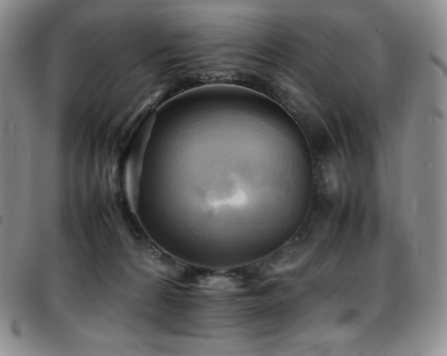 X0000097860224200803141245