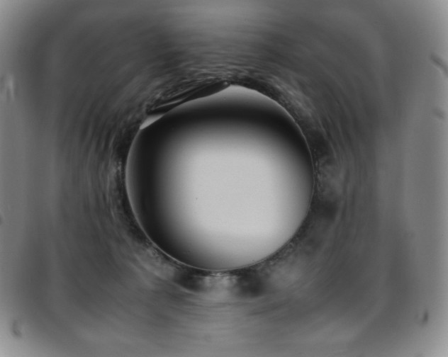 X0000097860225200803141245