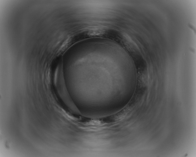 X0000097860227200803141245