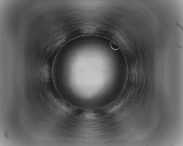 X0000097860228200803141245