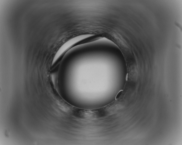 X0000097860229200803141245