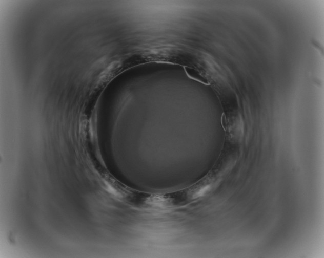 X0000097860231200803141245