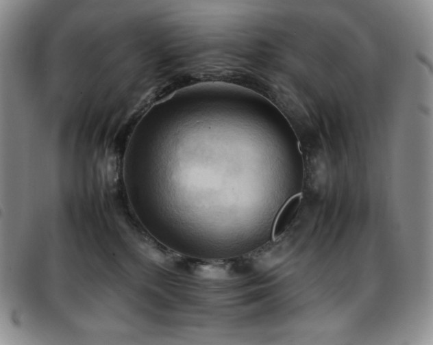 X0000097860232200803141245