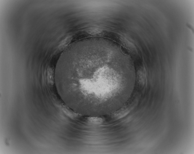 X0000097860234200803141245