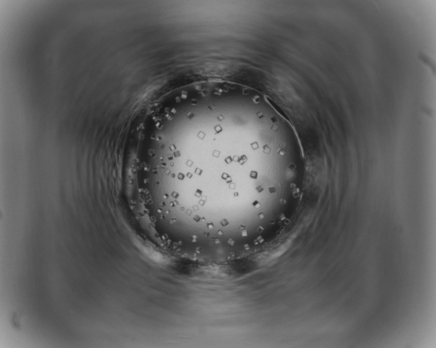 X0000097860237200803141245