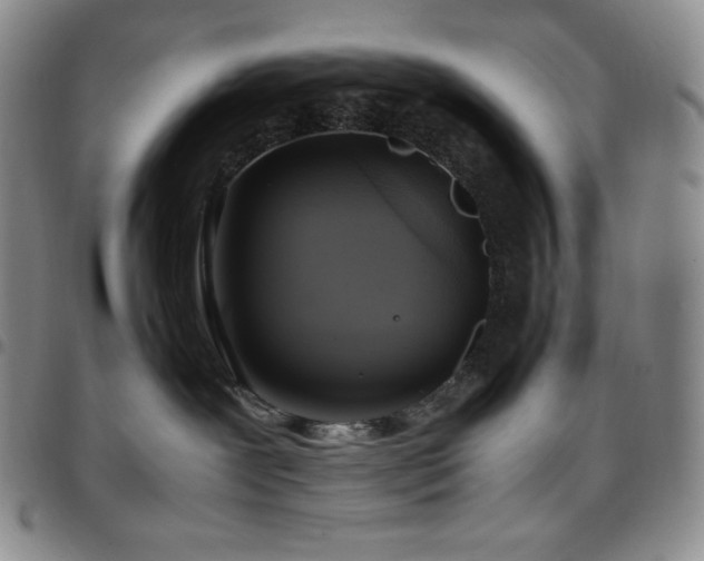 X0000097860239200803141245