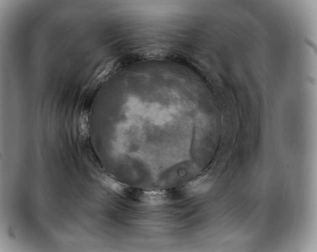 X0000097860240200803141245