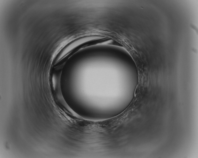 X0000097860244200803141244