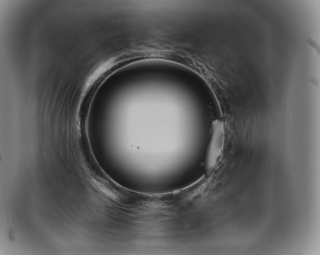 X0000097860246200803141244