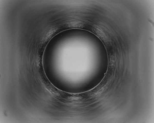 X0000097860255200803141244