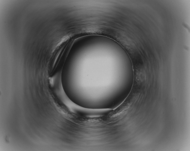 X0000097860256200803141244