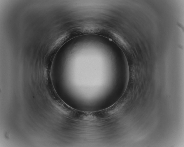 X0000097860258200803141244