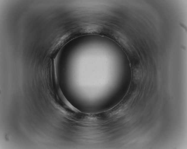 X0000097860260200803141244