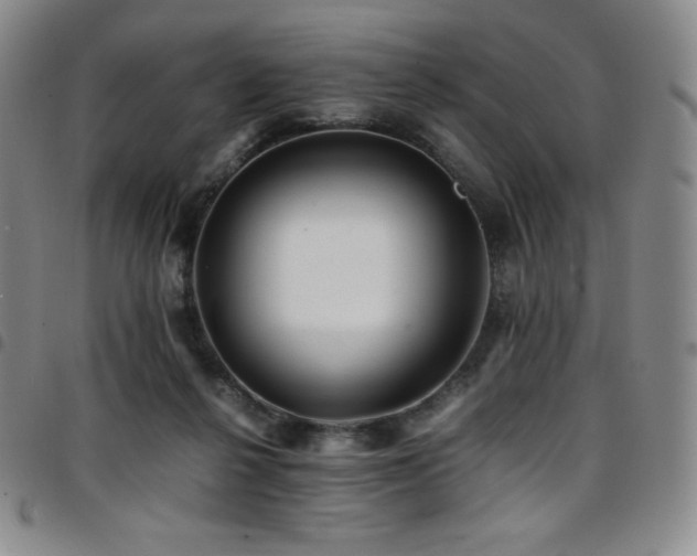 X0000097860264200803141245