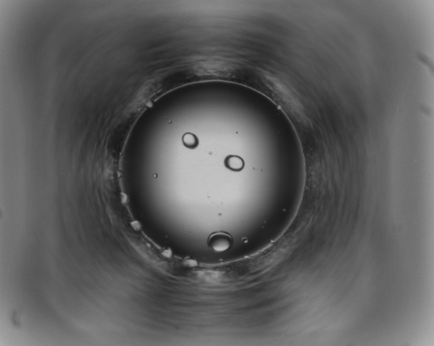 X0000097860265200803141245