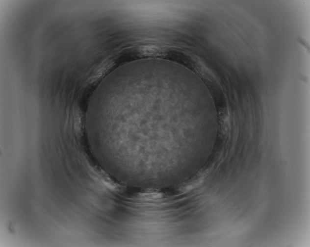 X0000097860266200803141245