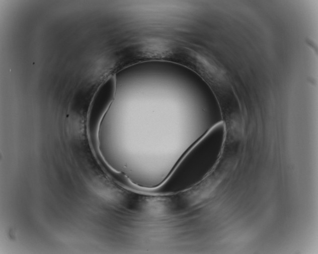 X0000097860268200803141245