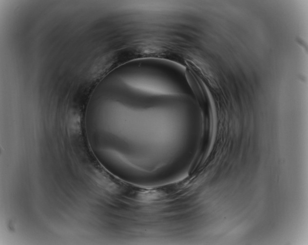 X0000097860269200803141245