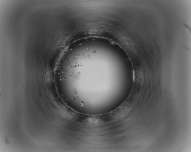 X0000097860272200803141245