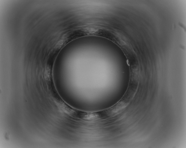 X0000097860274200803141245