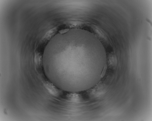 X0000097860276200803141245