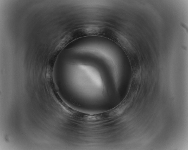 X0000097860277200803141245