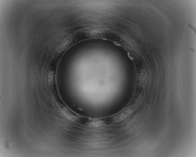 X0000097860278200803141245