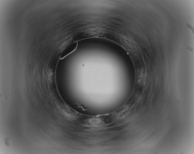 X0000097860279200803141245