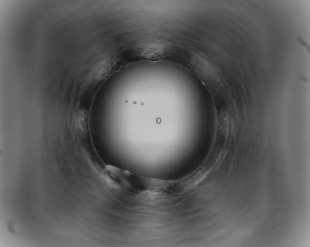 X0000097860280200803141245