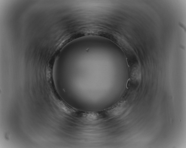 X0000097860282200803141245