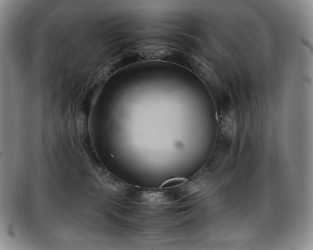 X0000097860283200803141245