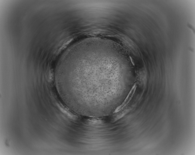 X0000097860284200803141245