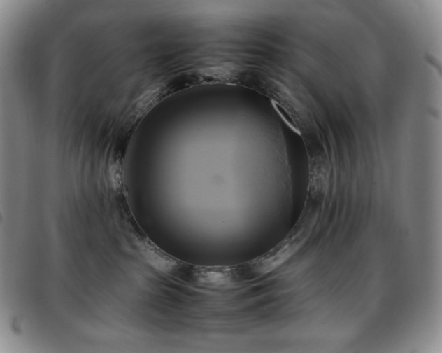 X0000097860285200803141245