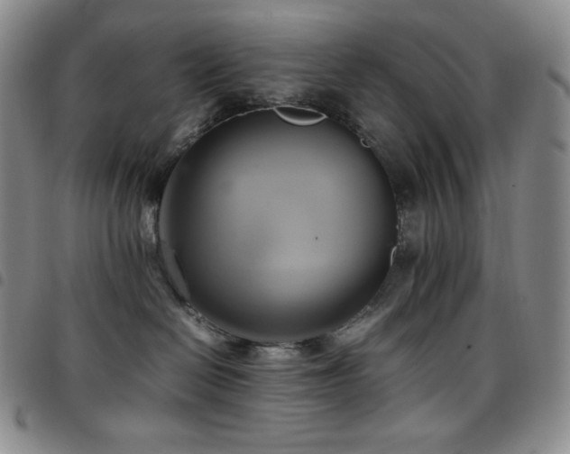 X0000097860286200803141245