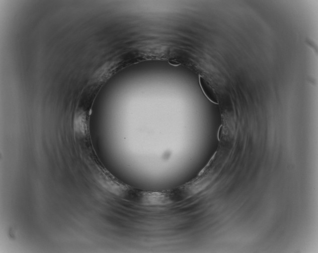 X0000097860287200803141245