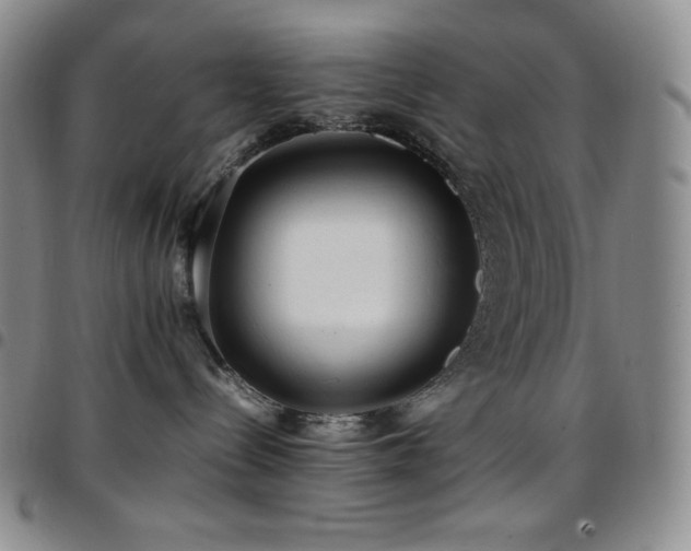 X0000097860288200803141245