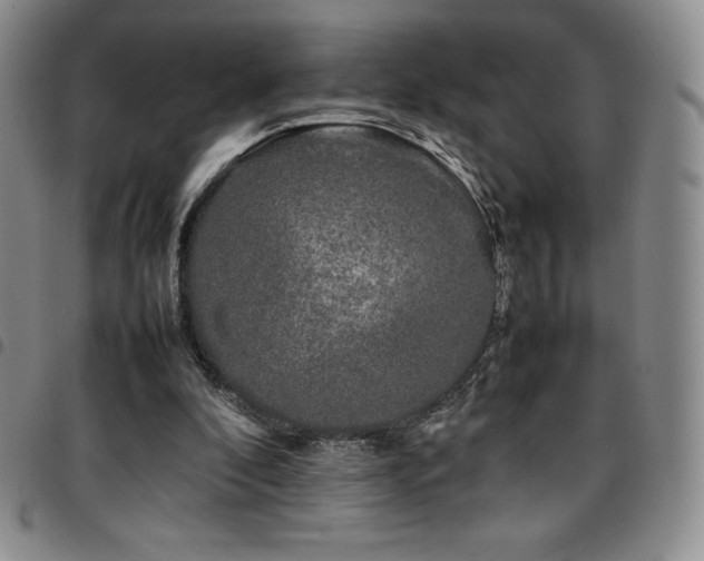 X0000097860296200803141244